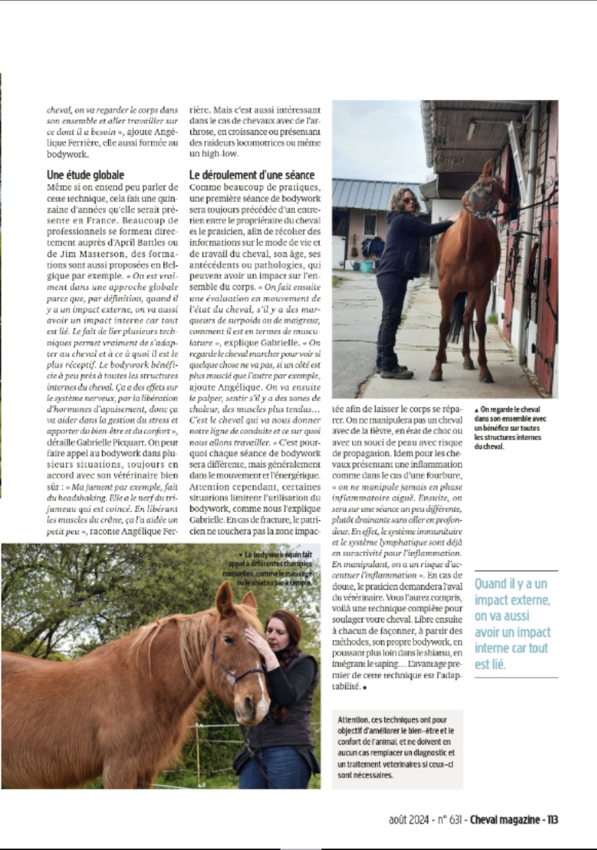 Article Cheval Magazine - Päge 2